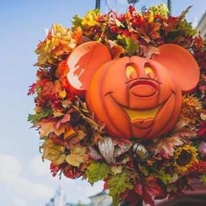 Meet your Posher, Sheila